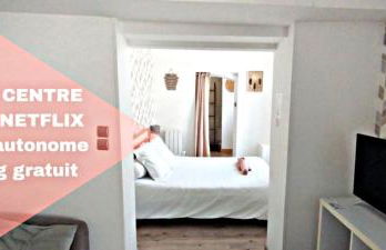 Le Cocon - studio Centre ville tout équipé - Foto 1