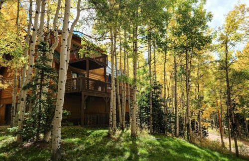 Pikes Peak Retreat - Foto 52