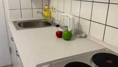 neu möbiliertes 1 Zimmer Appartment Nähe Uni-Klinik Homburg - Photo 4