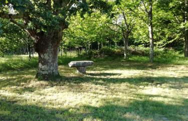 BUELIÑA DA CARBALLEIRA - Foto 25