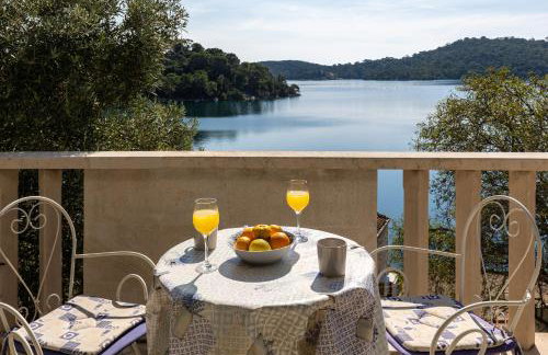 Pansion Mali Raj - Photo 80