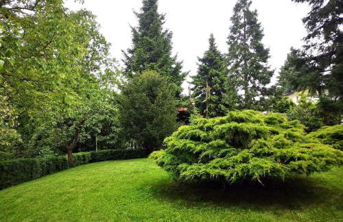 Casa Carla, immersa nel verde dei colli Bolognesi - Photo 8