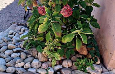 LO CANTO - Piscine & Spa - Près d'Albi et Cordes - Foto 12