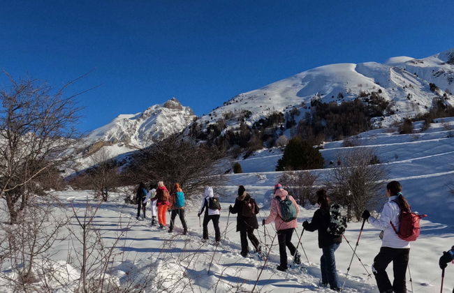 Snowshoeing in Valle de Tena - Photo 1