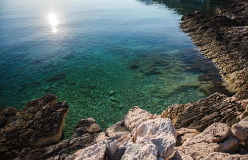 Apartmani Marko - Foto 58