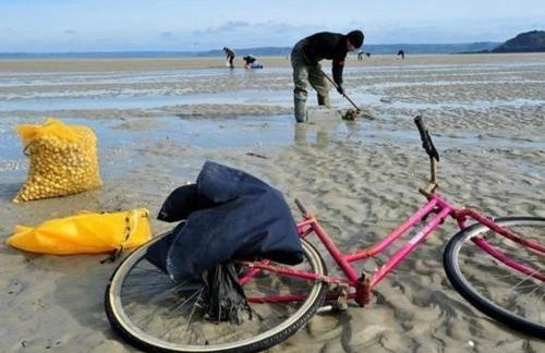 Résidence Ti An Amiral - Foto 10