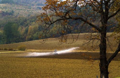 Elena Paternoster - Foto 13