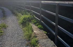 App Parenzana - Foto 18