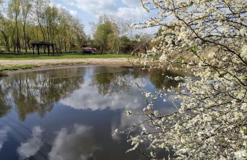 Ferienwohnung Neukalen - Foto 20