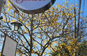 Chalé Sunset - Foto 14