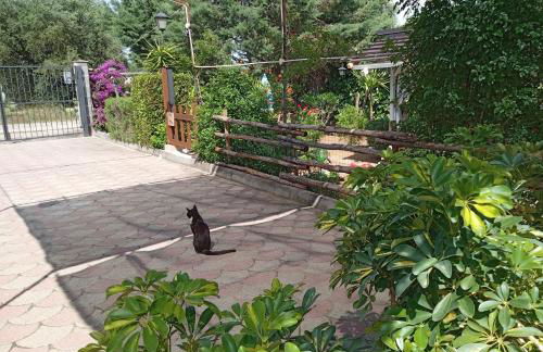 biodelfico, Policoro, Matera, Montalbano, mare - Photo 14