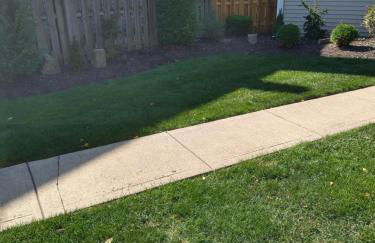 Family Friendly JUST LIKE HOME - Photo 12