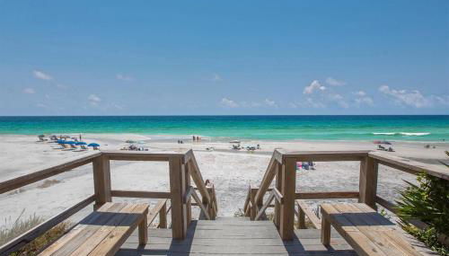 Legacy 502 - Abalone - Foto 5