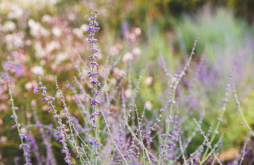 Casa rural Mas del Serranet - Foto 27