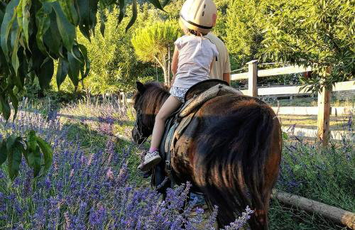 Karaiskos Agritourism Farm - Foto 45