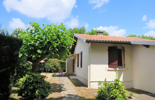 Les Hirondelles - Foto 18