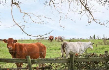 Lovely 2 Bed Victorian Cottage, Denford NN14 - Photo 9