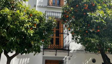 San Fernando 33 - Foto 2