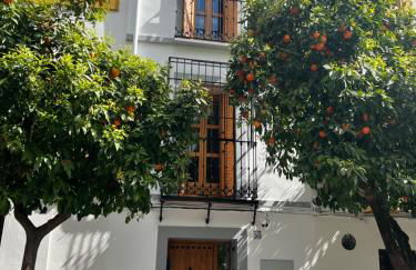 San Fernando 33 - Foto 2