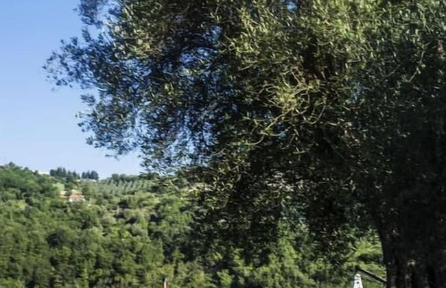 Agriturismo Murikè - Foto 19