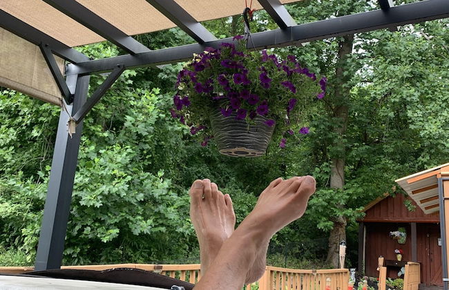 Log Cabin in the Field - Foto 16