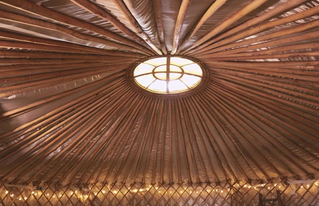 Mushroom Yurt set in 4 Acres of Woodland and Lakes - Foto 18