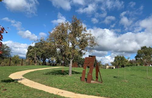 casa rural de un artista en plena naturaleza piscina y parque de esculturas en villarcayo - Photo 52