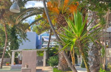 Ktima Papaoikonomou 2 - Foto 26