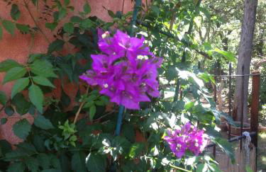 Agriturismo La Casa delle Fate - Photo 64