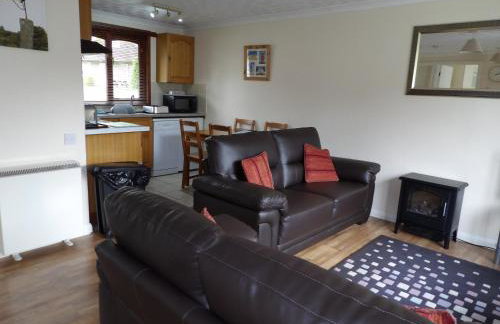 Hengar Select - Foto 18