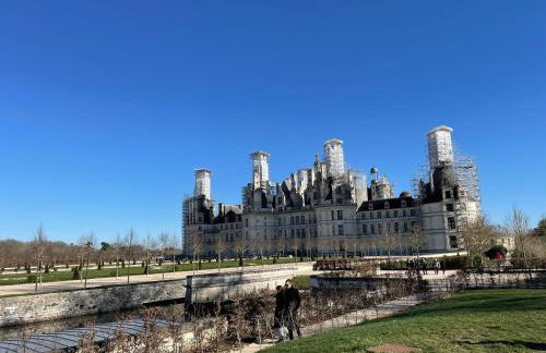 Les oiseaux du paradis - Foto 22