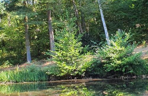 Écrin de verdure pour couple avec parking - FR-1-489-447 - Foto 16