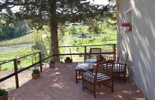 La Casa dei Nonni - Foto 14