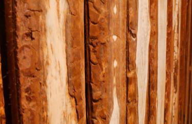 Ferienhaus Kaufmanns Cafe - Foto 46