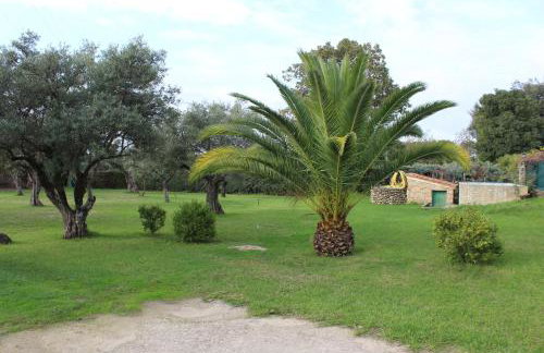La Huertarrona - Photo 72