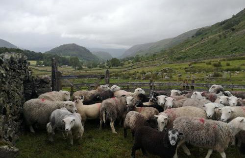 Stybeck Farm - Foto 14