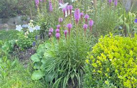 Dom wypoczynkowy na Kaszubach w pobliżu kaszubskich jezior o niezwykłym klimacie - Foto 27