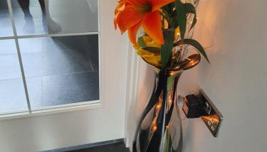 The White House - Foto 3, Lobby or reception