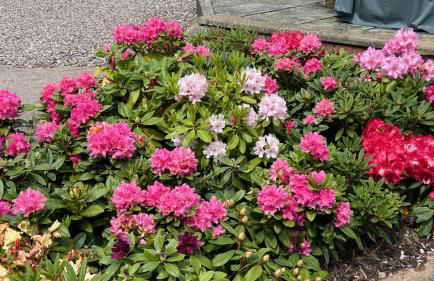 Classy 2 Bed Near Alton Towers, Polar Bears, Peak District - Foto 10