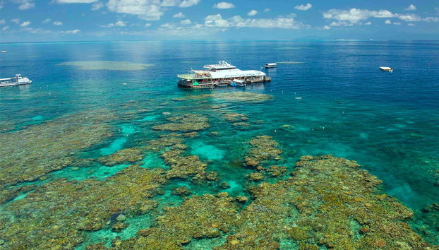 Reef Magic Great Barrier Reef Cruise - Photo 3