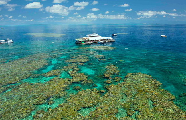 Reef Magic Great Barrier Reef Cruise - Photo 3