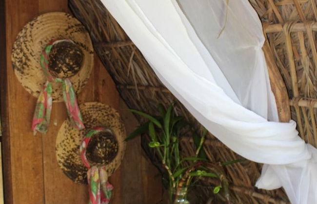 Pousada Pouso das Araras - Foto 29