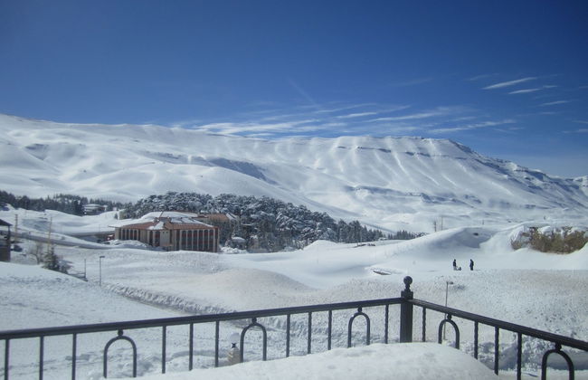 Cedars Palace - Foto 26