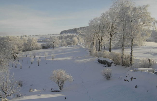 Bohn - Holiday Apartment 2 - Foto 19