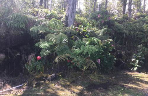 Simply convenient tropical country studio - Foto 37