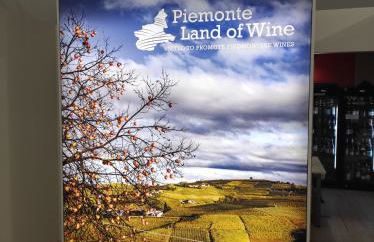 Oasi del Monferrato - appartamento verde - Foto 21