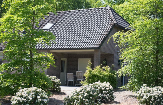 Villa in Netherlands With Sauna & Comfort - Foto 1