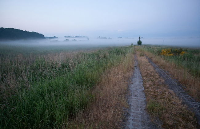 Bungalow in Pomeranian With Garden - Foto 27