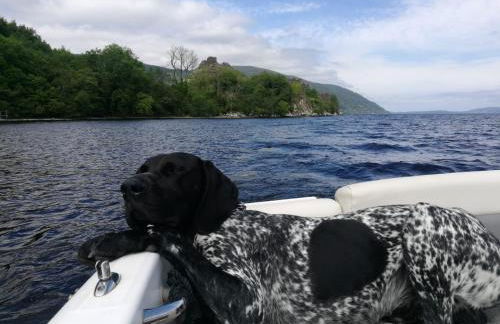 Rest At Last - Highland Apartment with Private hot tub - Photo 37