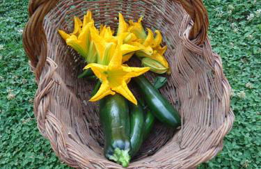 Agriturismo I Monti di Salecchio - Foto 29